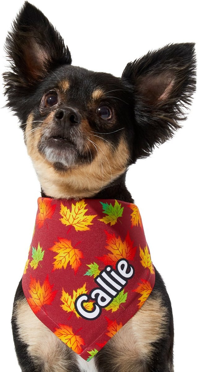 Frisco Fall Leaves Personalized Dog and Cat Bandana