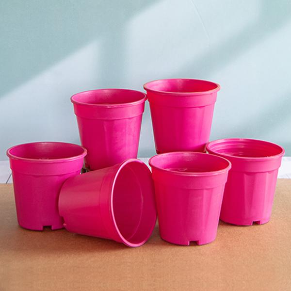 6 inch (15 cm) Grower Round Plastic Pot (Dark Pink) (set of 6)