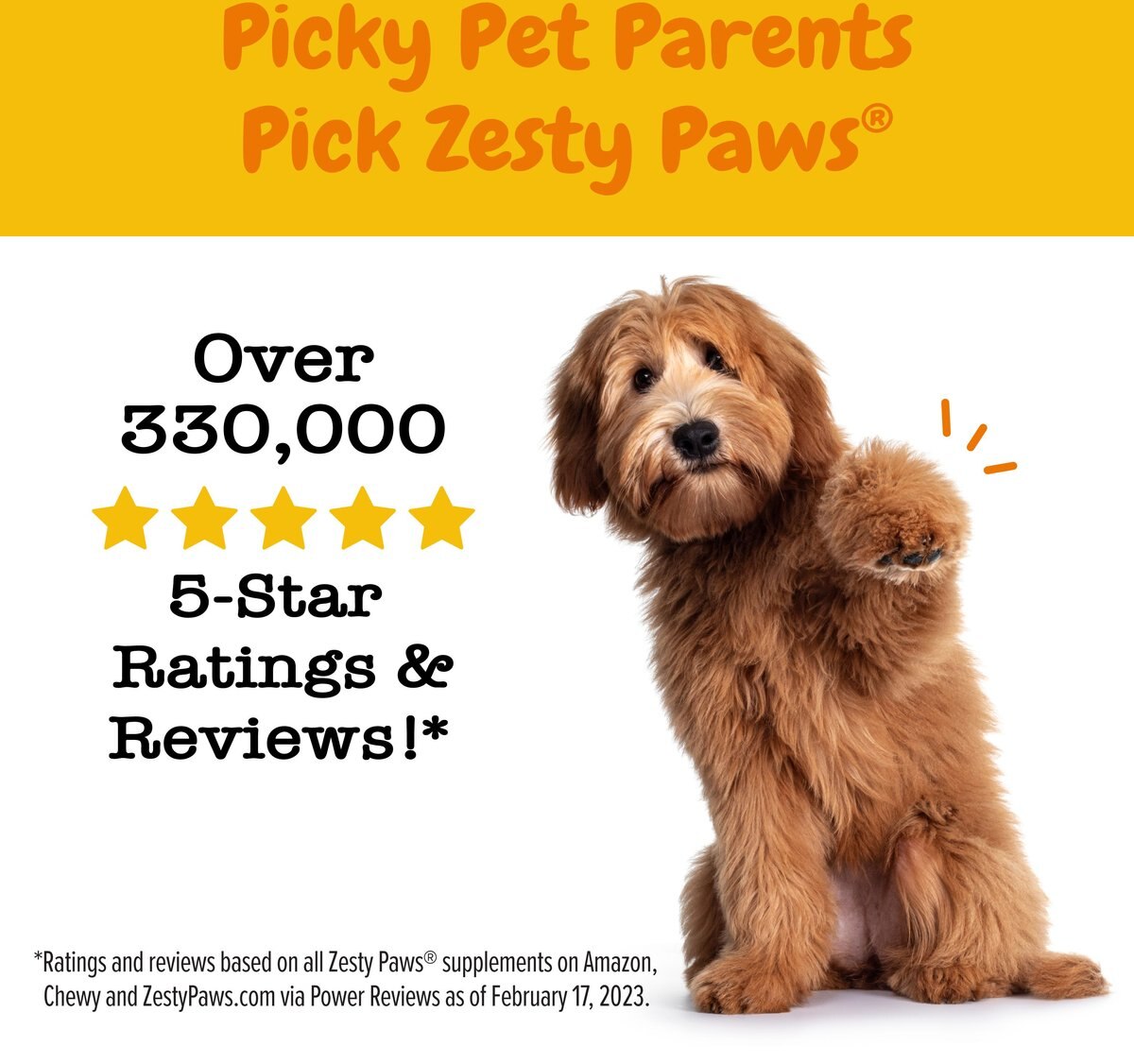 Zesty Paws Probiotic Bites Pumpkin Flavored Soft Chews Digestive Supplement for Dogs