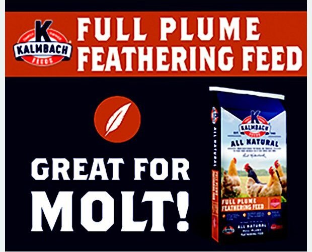 Kalmbach Feeds All Natural 20% Protein Full Plume Feathering Chicken Feed， 50-lb bag