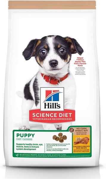 Hill's Science Diet Puppy Chicken and Brown Rice Recipe Dry Dog Food