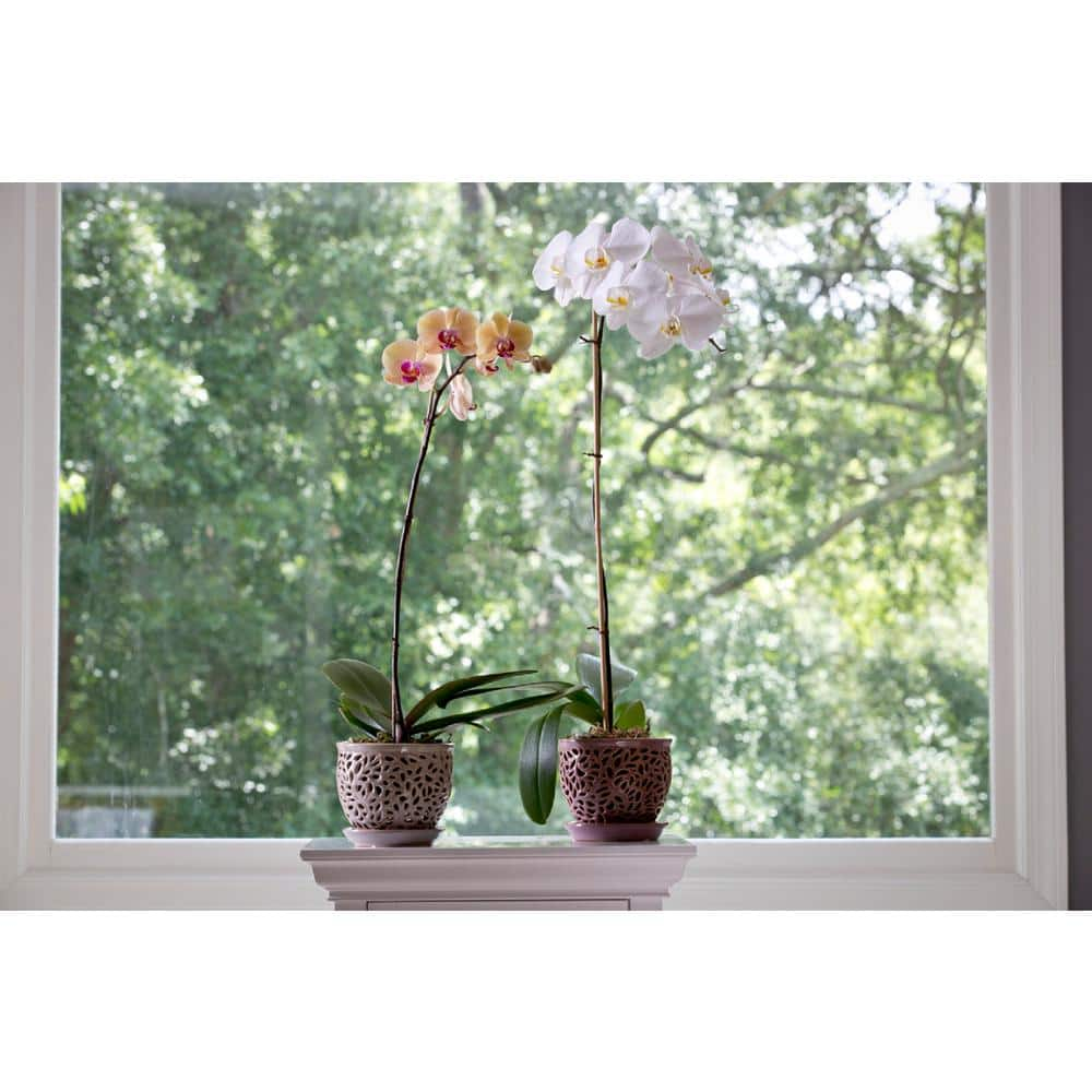 Vigoro 5.5 in. Dallas Small Gray Lacey Orchid Ceramic Planter (5.5 in. D x 5 in. H) with Drainage Hole and Attached Saucer 521414