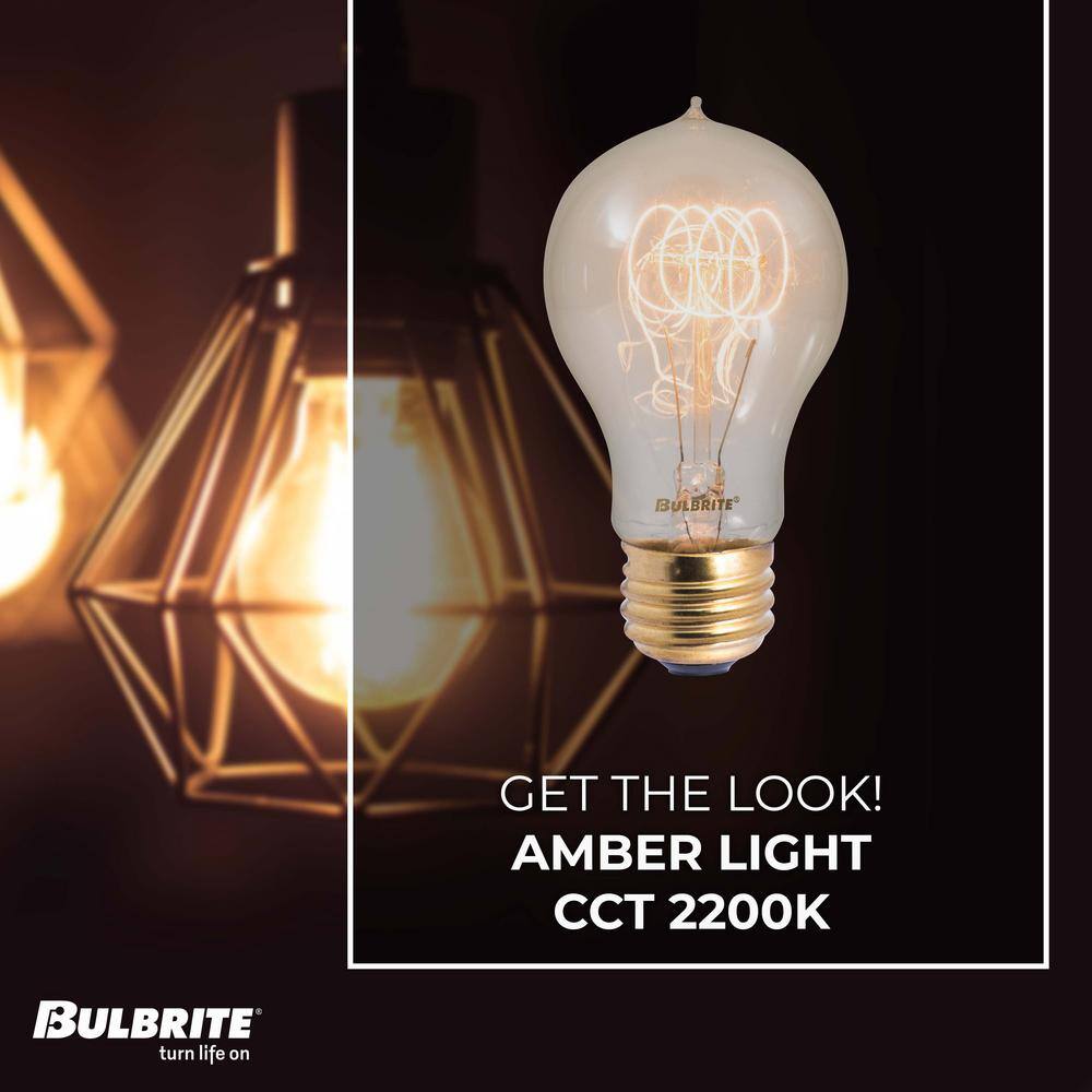 Bulbrite 40-Watt A19 Incandescent Light Bulb Medium Base (E26) Antique Nostalgic Loop 2200K (4-pack) 861385