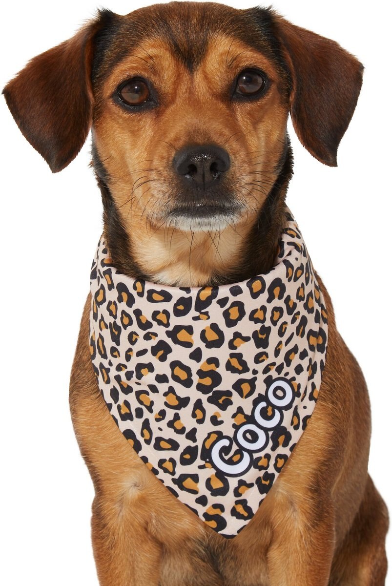 Frisco Leopard Print Personalized Dog and Cat Bandana