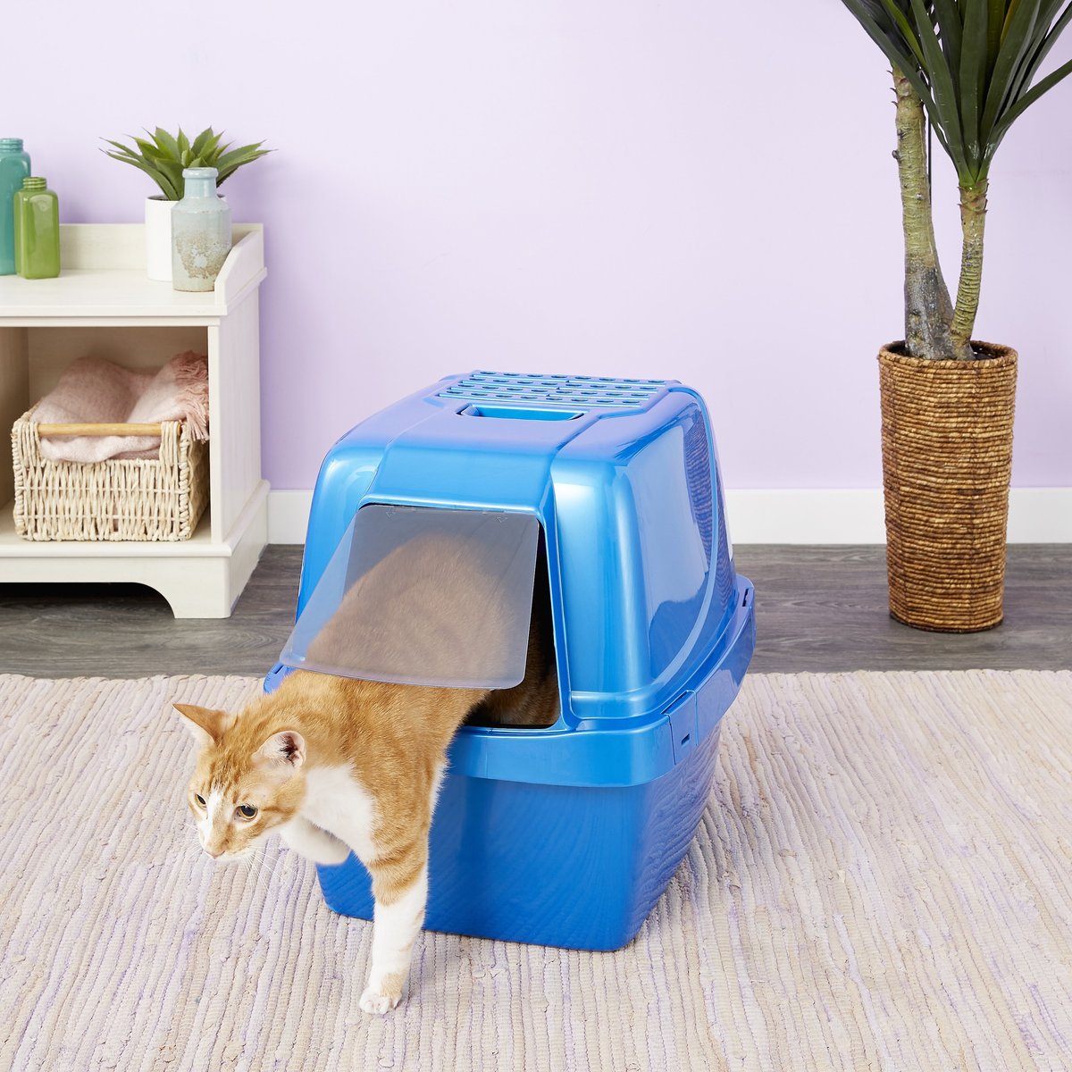 Van Ness Enclosed Sifting Cat Litter Pan， Giant Blue