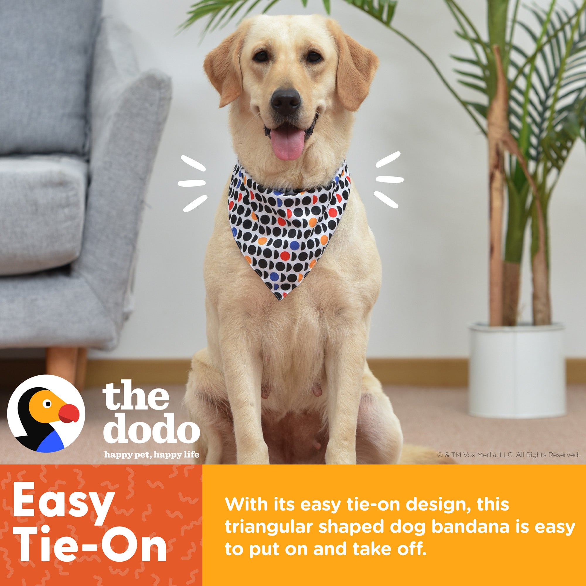 The Dodo Pet Bandanas Everyday Pet Apparel， Cute Doggy Clothes Tie-on One Size