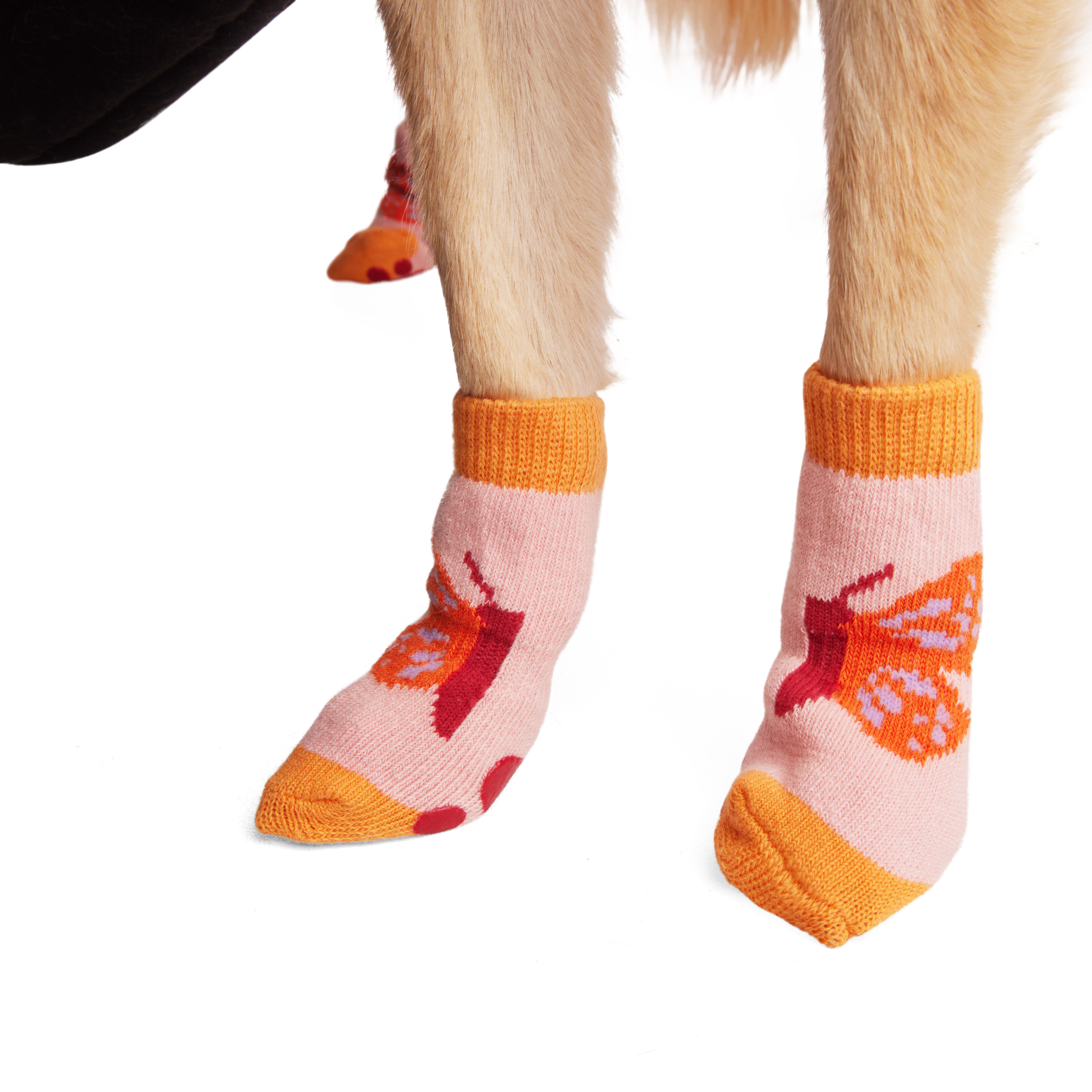 YOULY Butterfly Stripe Dog Sock， Small