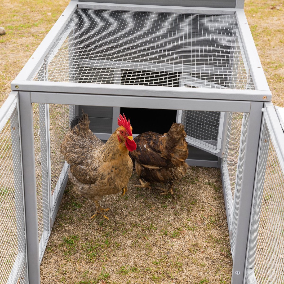 Coziwow Wooden Outdoor Chicken Coop w/ Run and Nesting Box Small Pet Habitats