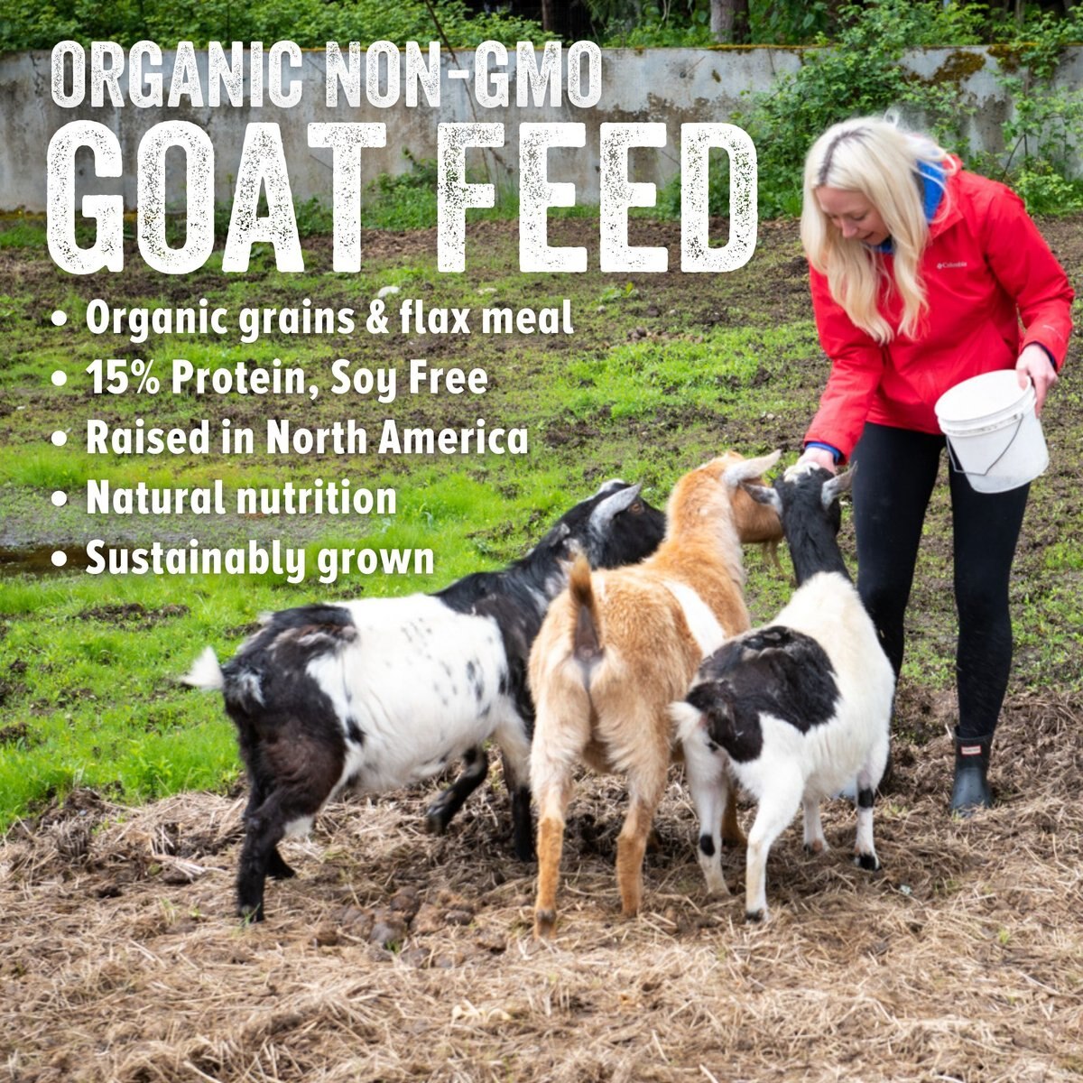 Scratch and Peck Feeds Organic Goat Feed， 40-lb bag