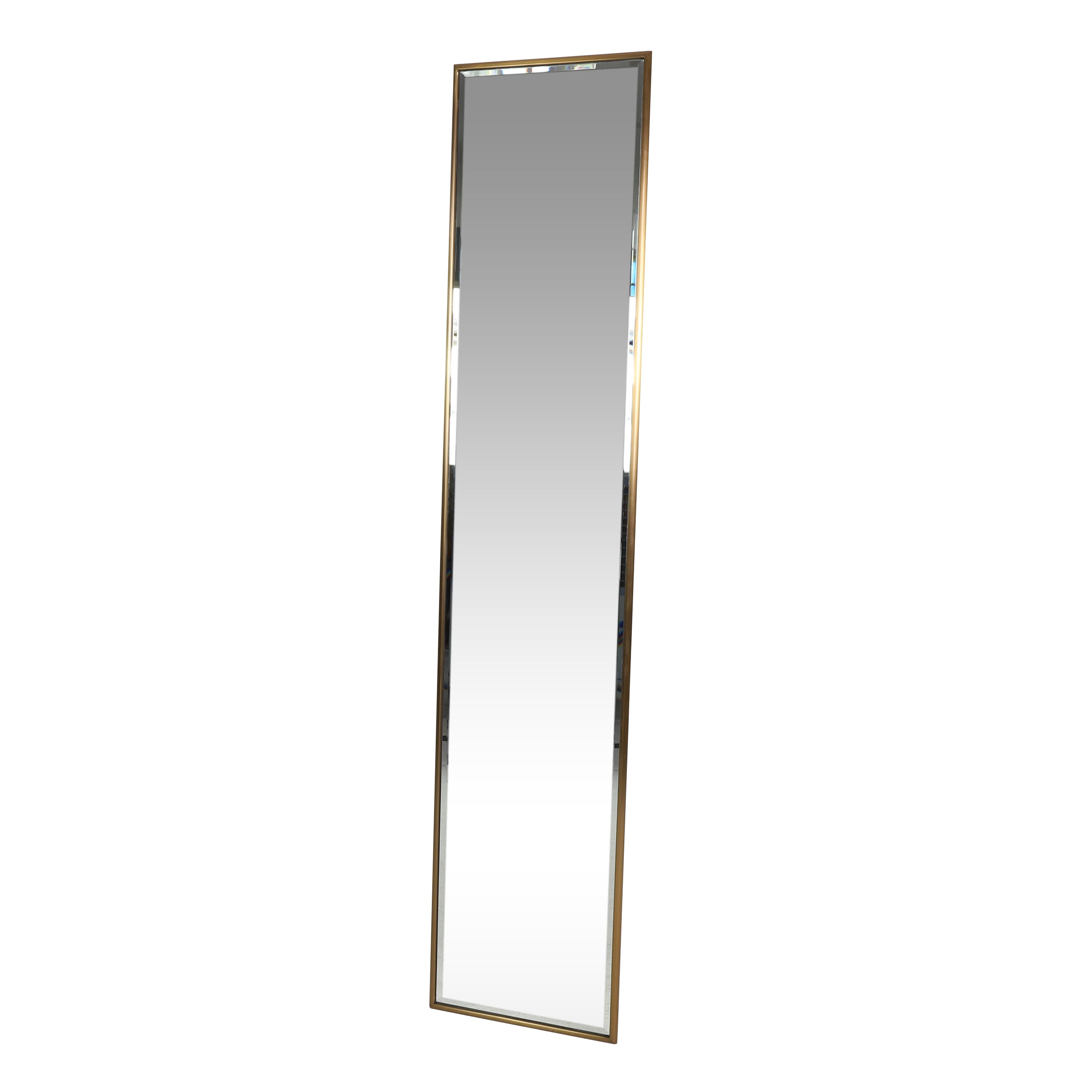 Lyanna Contemporary Rectangular Leaner Mirror