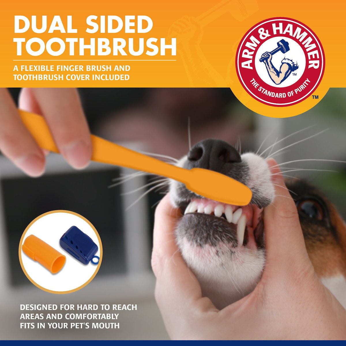 Arm and Hammer Tartar Control Banana Mint Flavored Enzymatic Dog Dental Kit