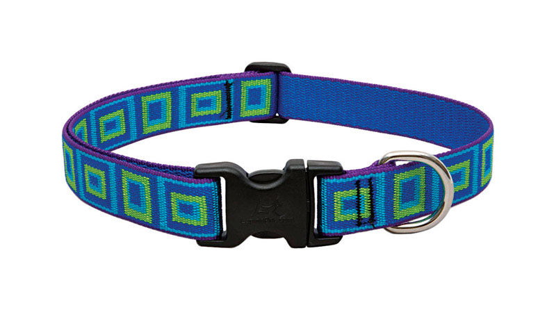 DOG COLLAR 12-20ADJ SGLS