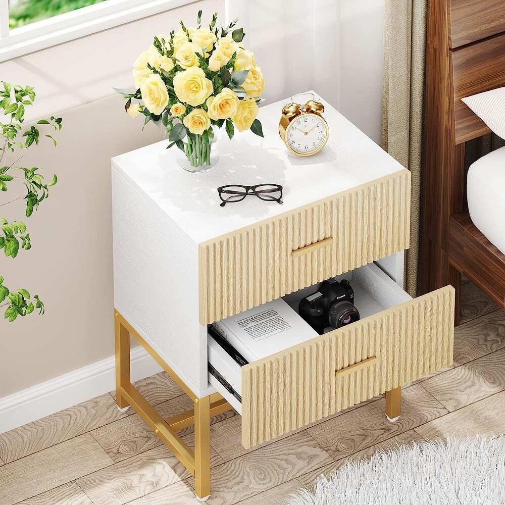 2 Drawer Nightstand  Modern Night Stands Bed Side Table