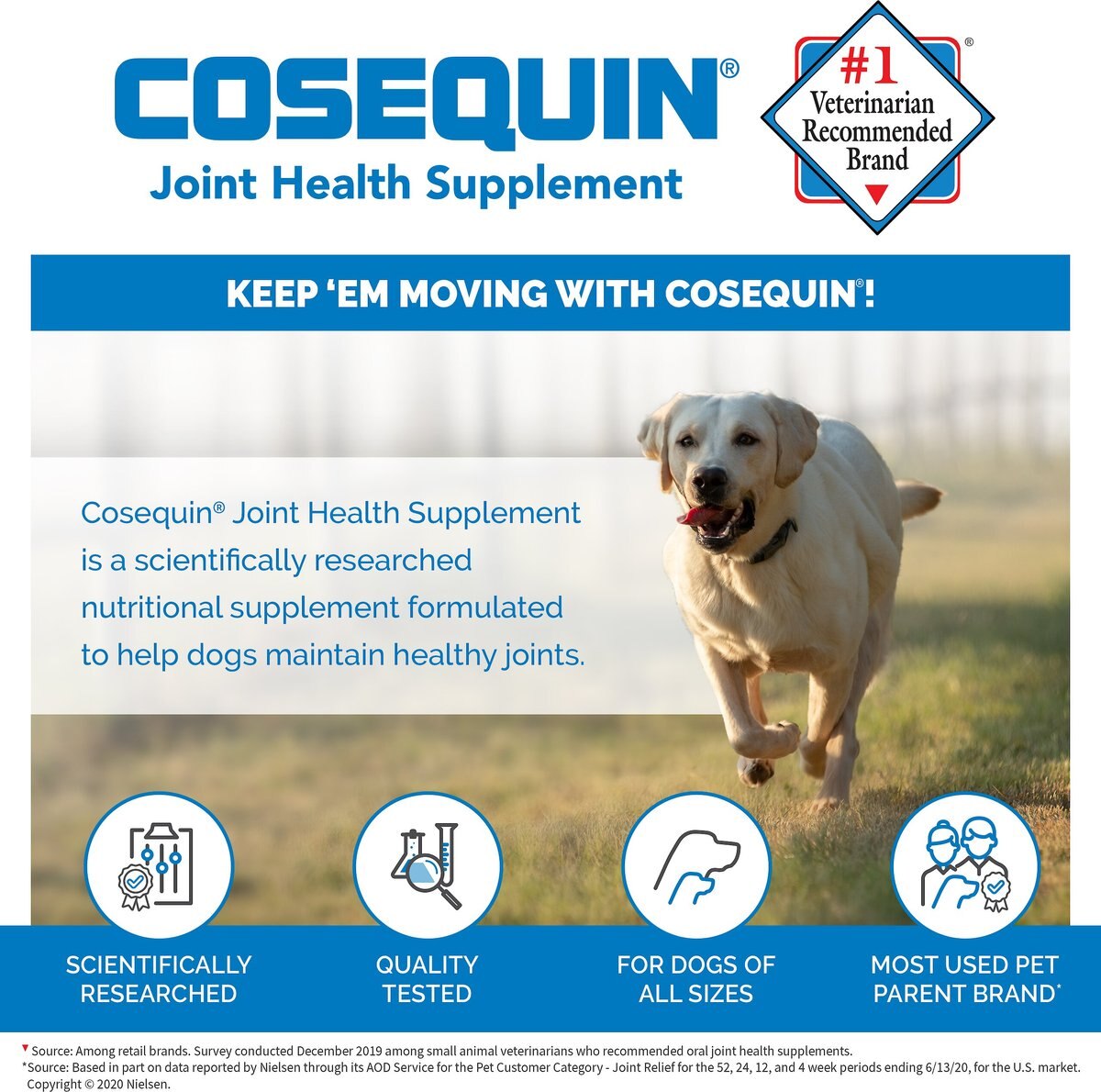 Nutramax Cosequin with Glucosamine and Chondroitin DS Chewable Tablet Joint Supplement Chewable Tablets for Dogs