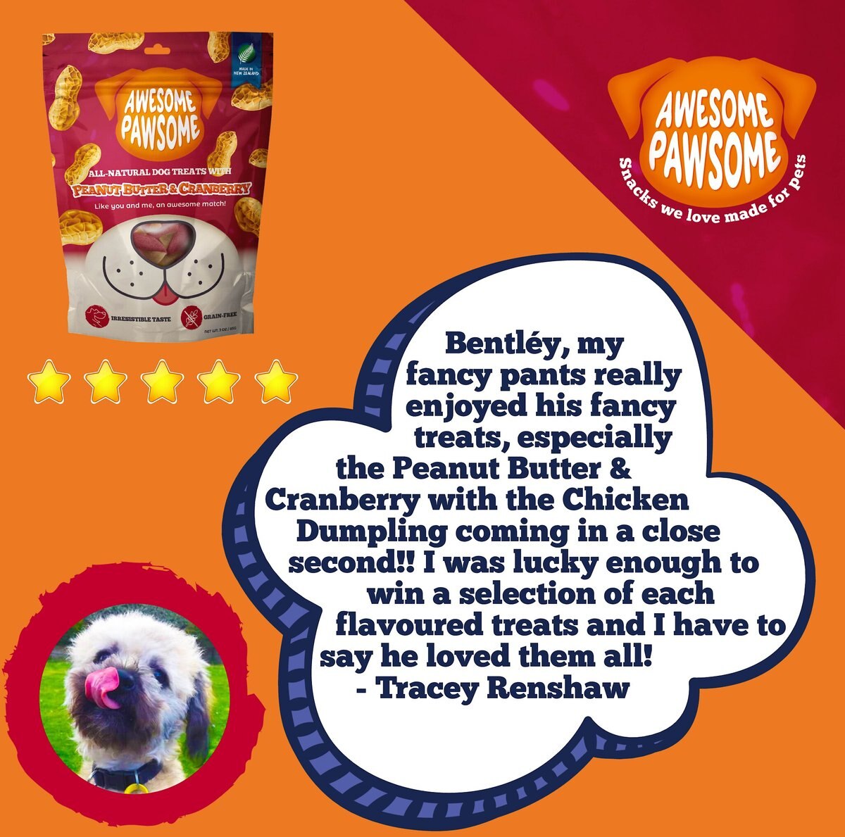 Awesome Pawsome Peanut Butter and Cranberry Dog Treats， 3-oz bag