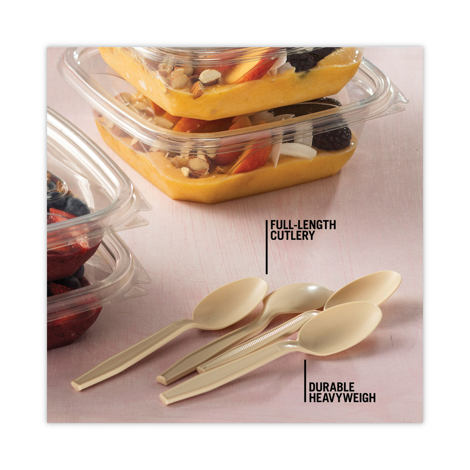 EarthChoice PSM Cutlery by Pactiv PCTYPSMSTEC