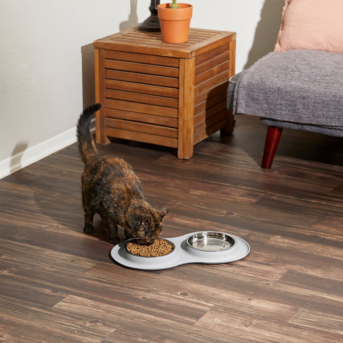 Frisco Double Stainless Steel Pet Bowl with Silicone Mat