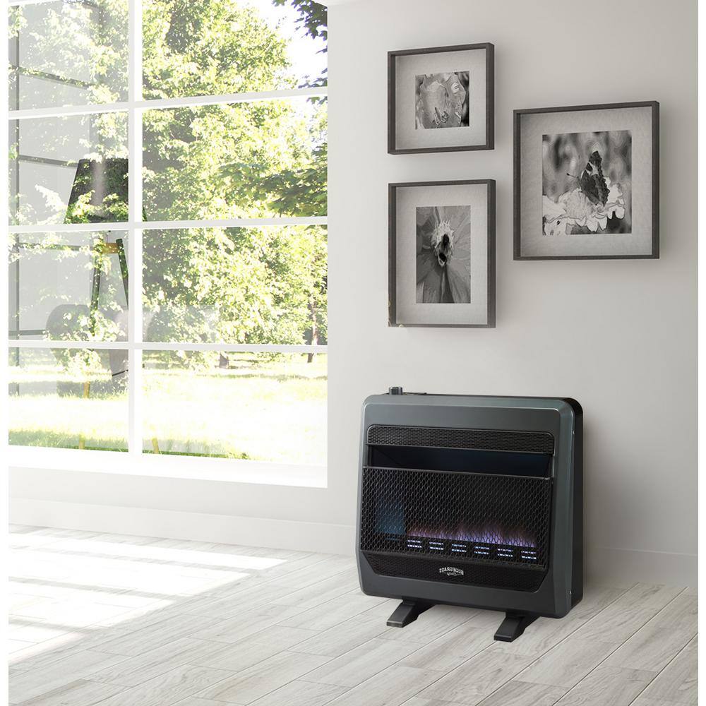 BLUEGRASS LIVING 30000 BTU Propane Gas Vent Free Blue Flame Gas Space Heater With Blower and Base Feet 200093