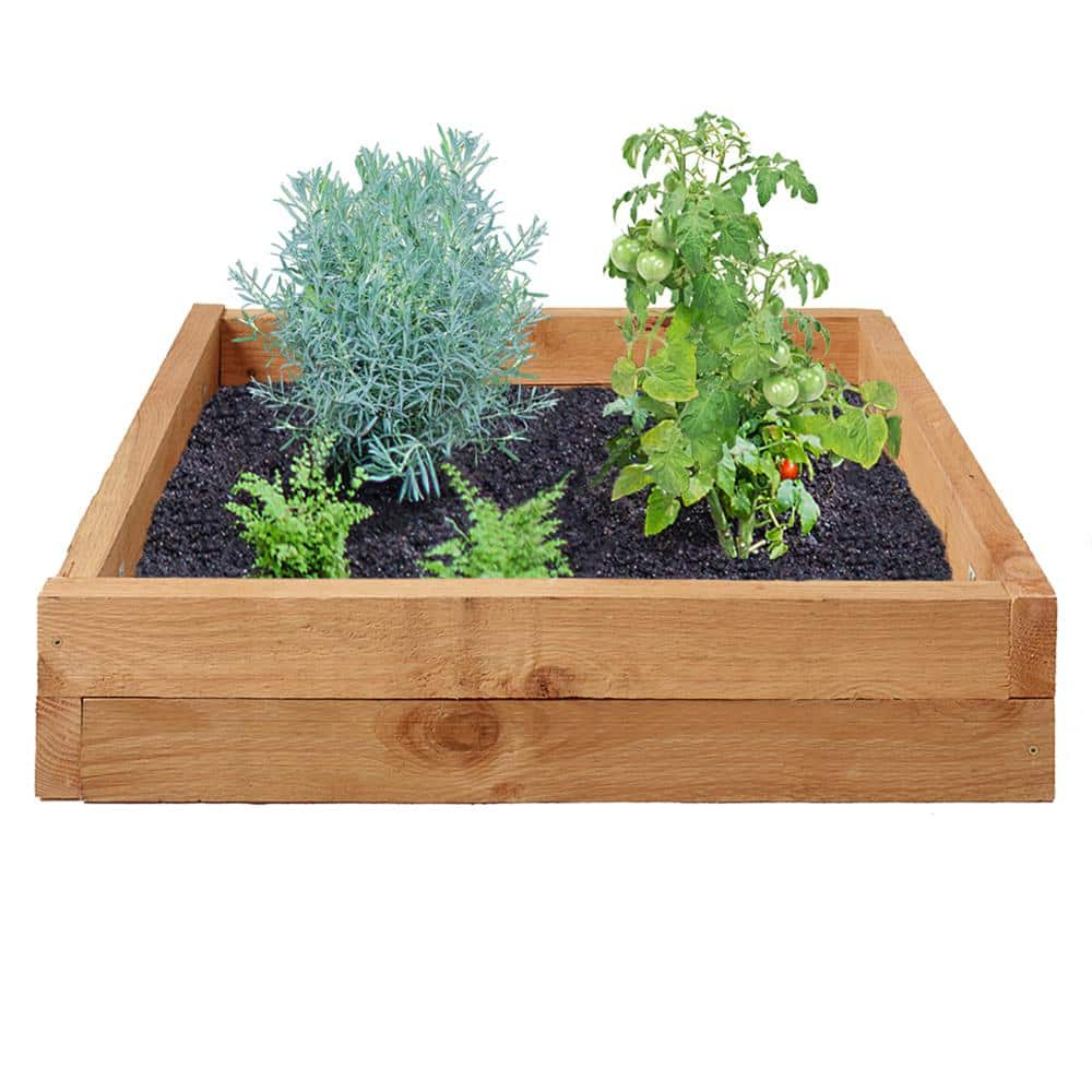 Outdoor Essentials Homestead 3 ft. x 3 ft. Western Red Cedar Raised Garden Bed Kit 238003