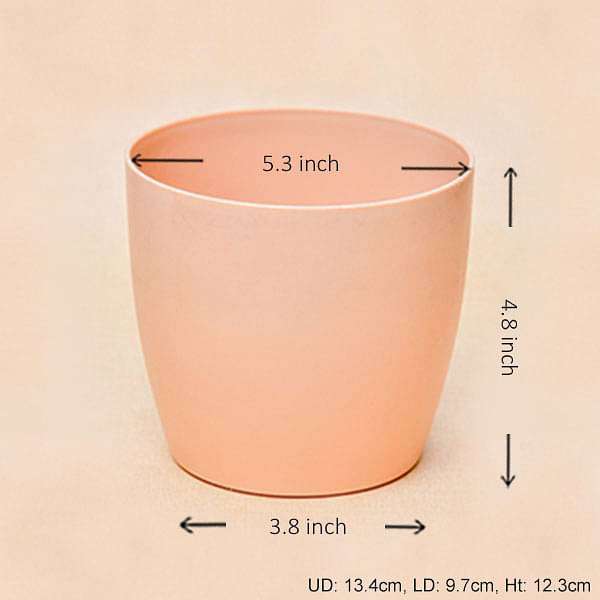 5.3 inch (13 cm) Ronda No. 1412 Round Plastic Planter (Camel Color) (set of 6)