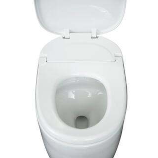 Foremost Intelligent Toilet Elongated Bidet in White ITL-5001-EW