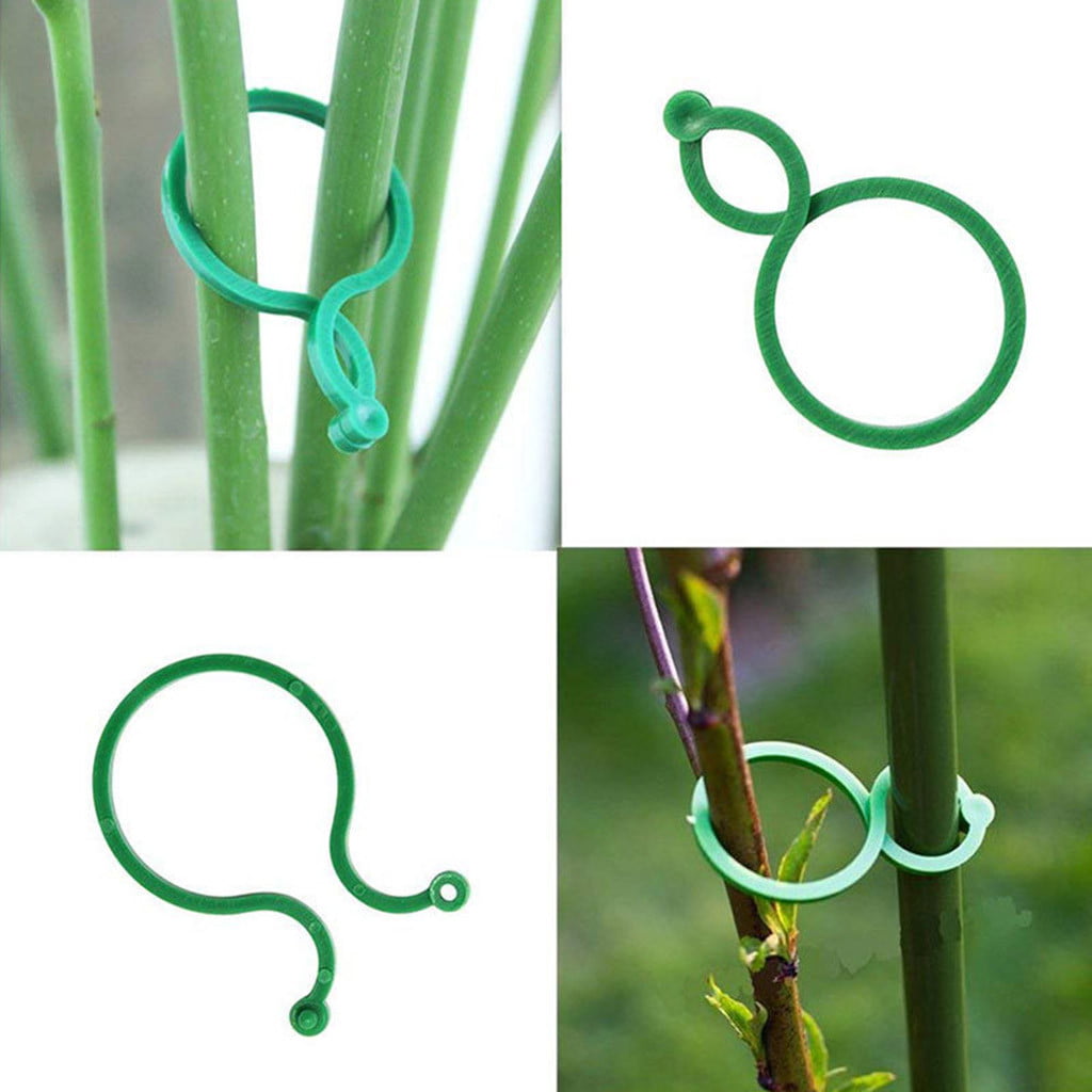 TOYFUNNY 100Pcs Botany-Stem Vine Strapping Clips Garden Plant Bundled Buckle Ring Tool