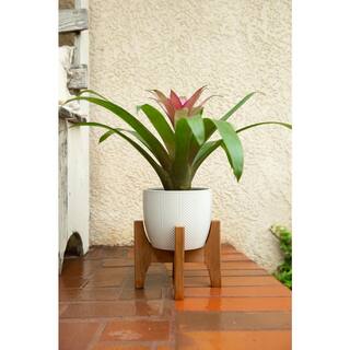 Flora Bunda 10 in. and 6.6 in. Matte White Chevron Ceramic Plant Pot on Wood Stand Stand Mid Century Planter (Set of 2) CT1298E2-MTWH