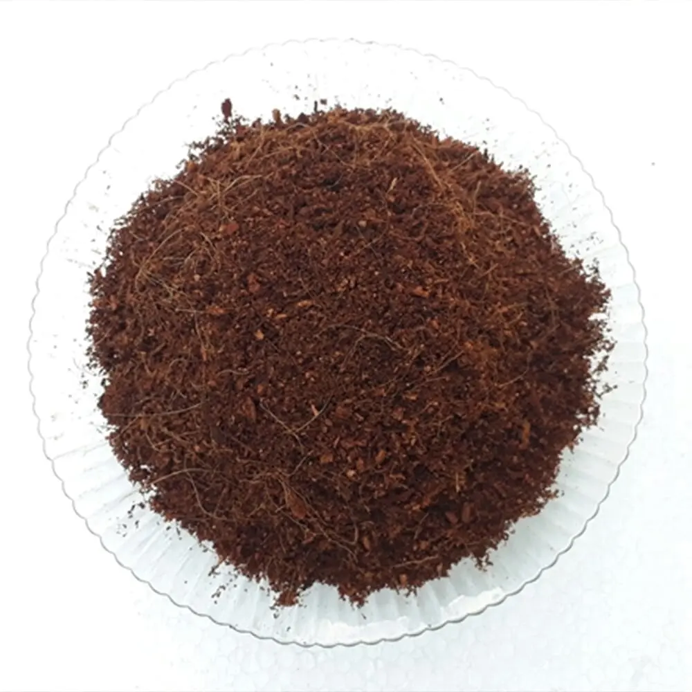 Cocopeat Block For Garden Plant Planning Wholesale Coconut Coir Bricks