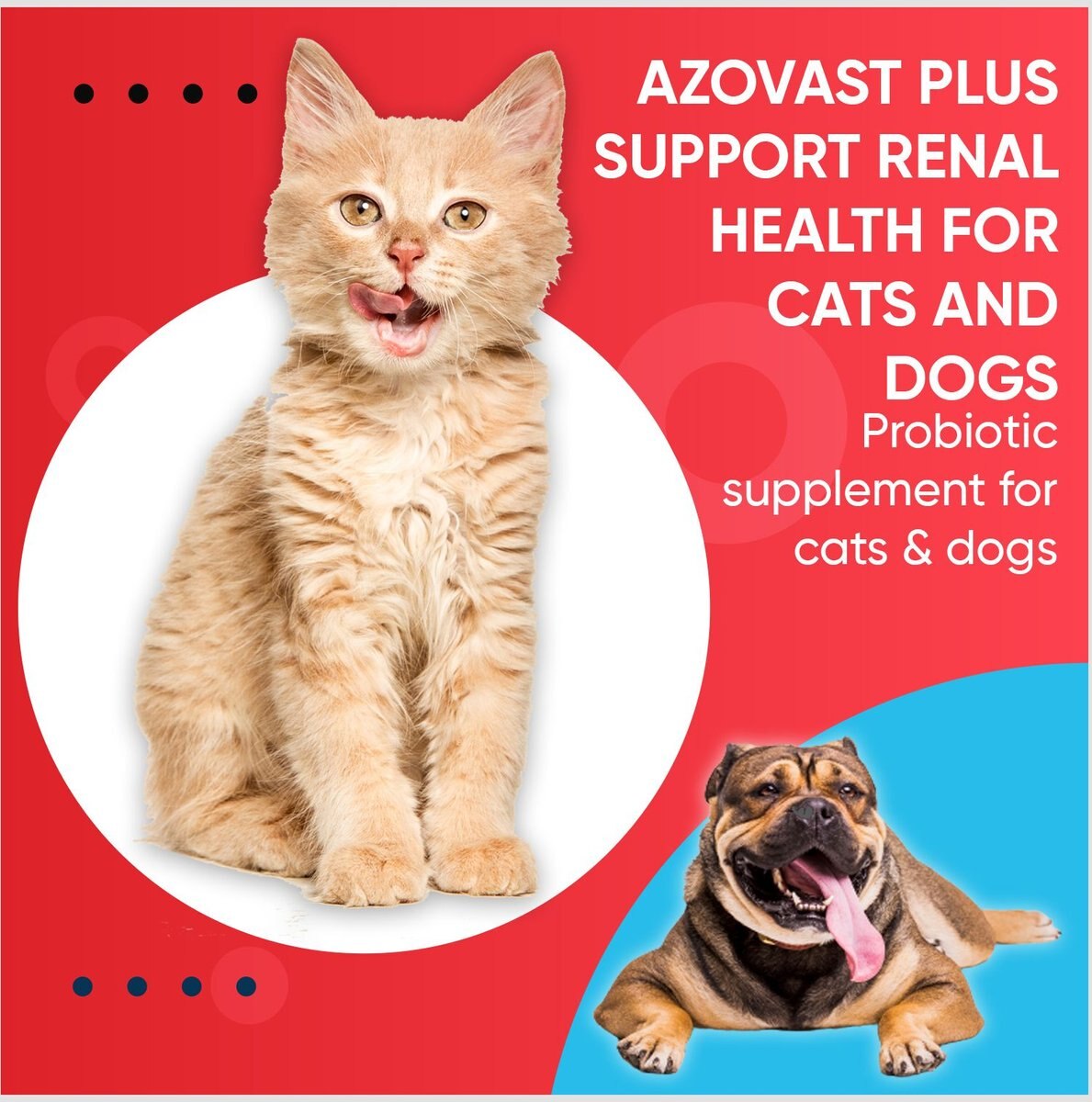 Pet Health Pharma Azovast Plus Capsule Kidney Supplement for Dogs and Cats， 120 count