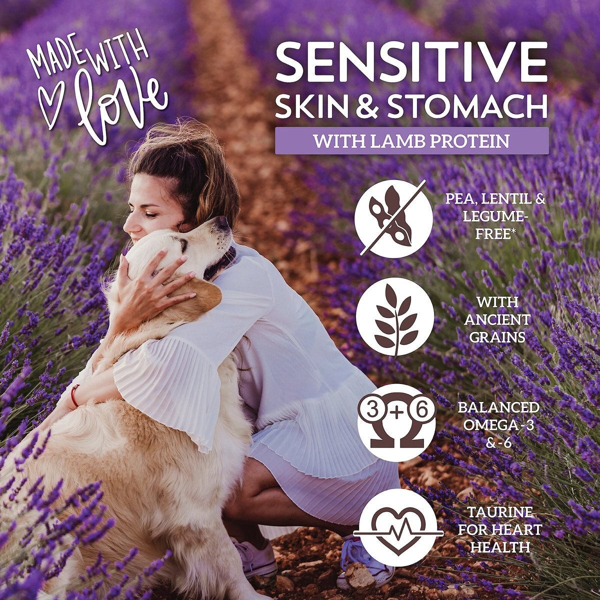 Wholesomes Sensitive Skin and Stomach With Lamb Protein Dry Dog Food， 30-lb bag