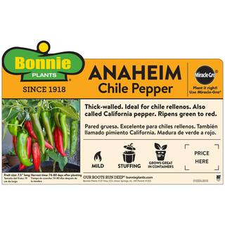 Bonnie Plants 19oz. Anaheim Hot Pepper Plant 2701