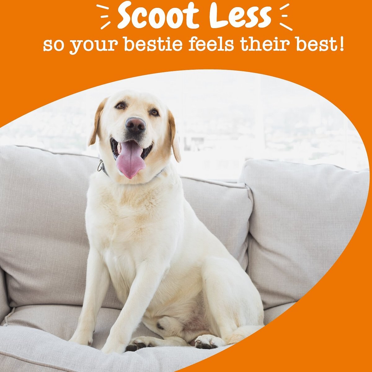 Zesty Paws Scoot Away Bites Chicken Flavored Soft Chews Digestive Supplement for Dogs