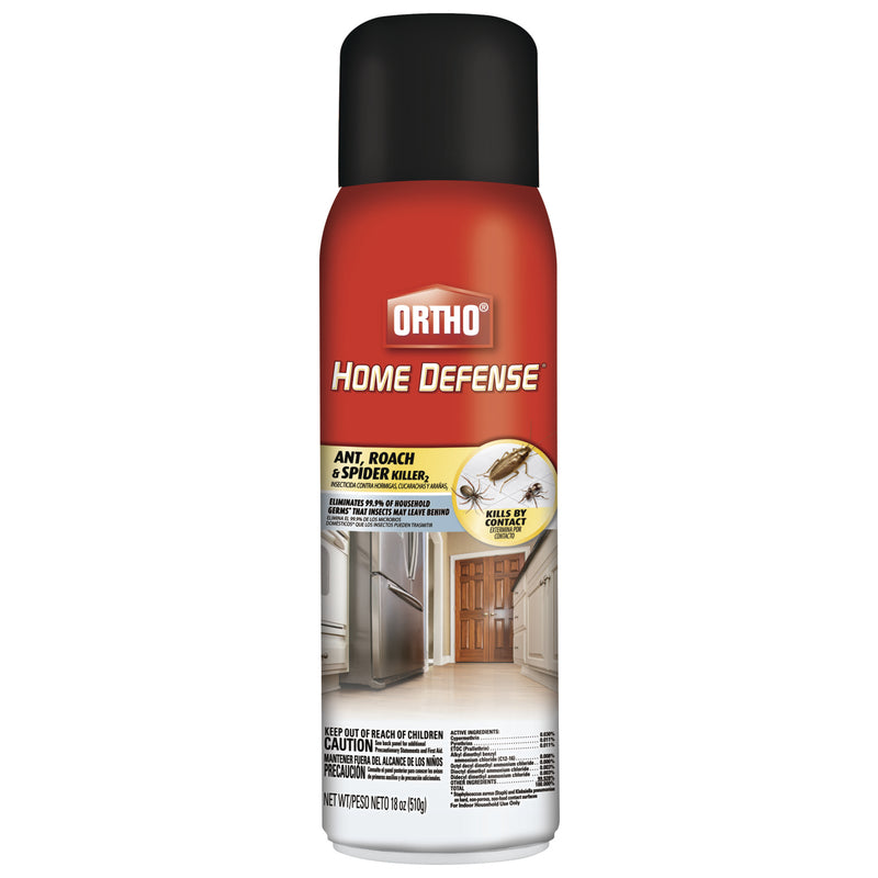 ANTROACH AEROSOL 16OZ