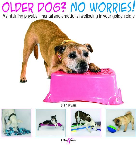 Older dog? No Worries!