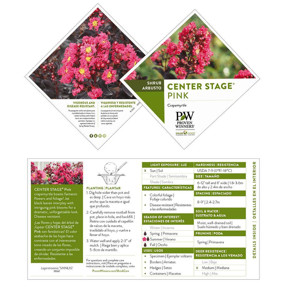 PROVEN WINNERS 2 Gal. Center Stage Pink Crape Myrtle Tree with Hot Pink Flowers 16885