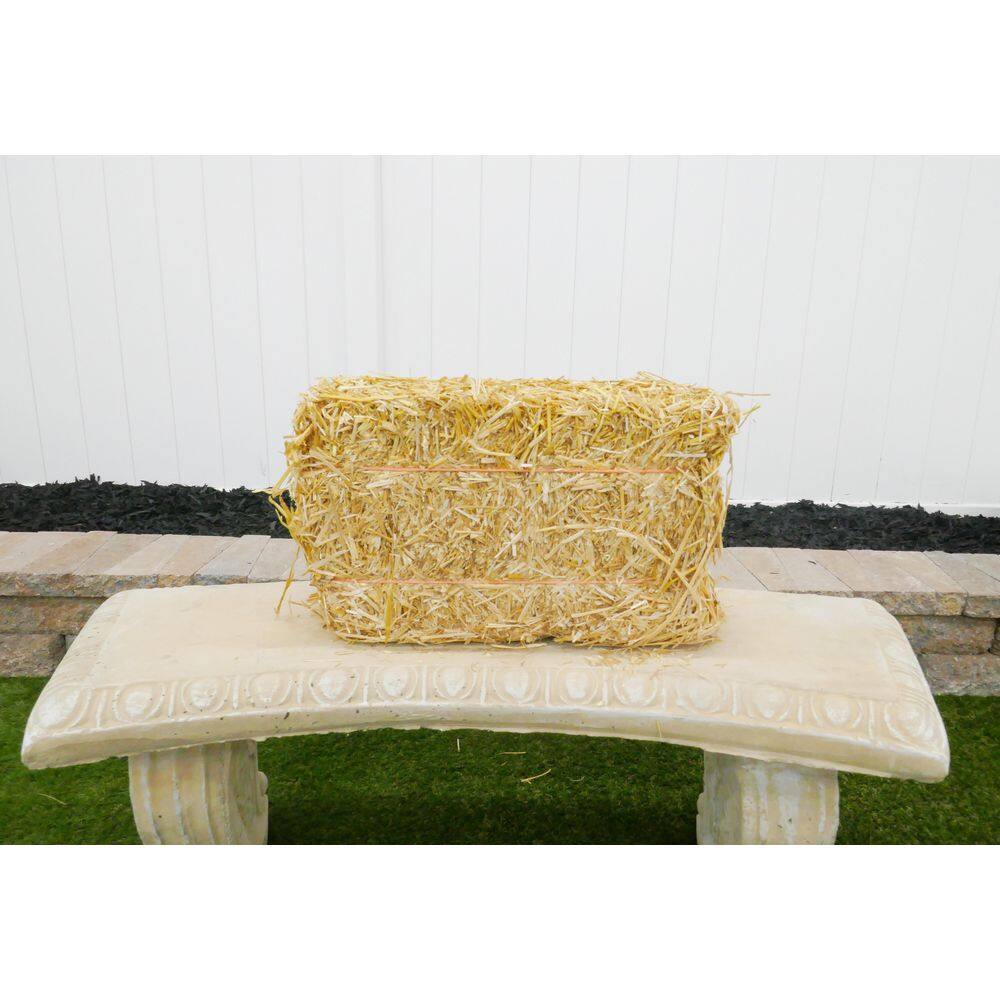 BELL NURSERY Mini Straw Bales 8 in. x 10 in. x 16 in. STRAWMINI1PK