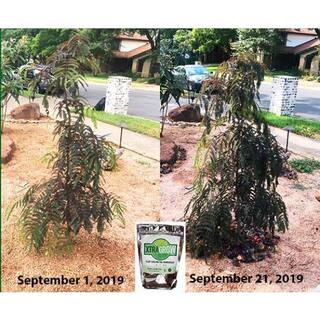 XtraGrow 2 lbs. Premium 100% Organic Granular All-Purpose Plant Food and Soil NourishmentConditioner and Composter 2420181