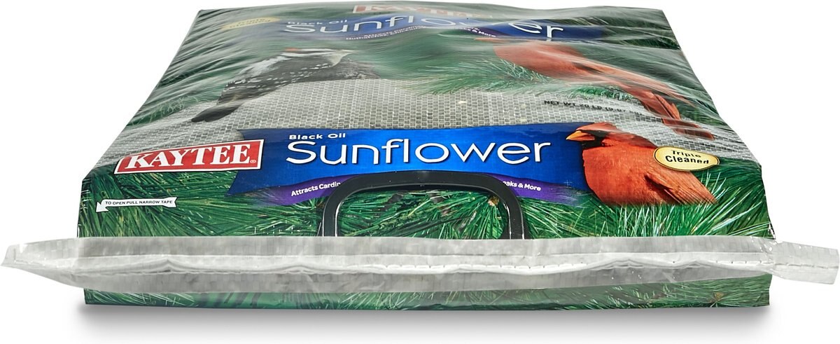 Kaytee Black Oil Sunflower Bird Food