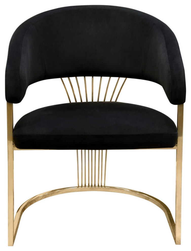 Emy 26 quotCantilever Barrel Dining Chair  Black Velvet Upholstery  Gold   Dining Chairs   by VirVentures  Houzz