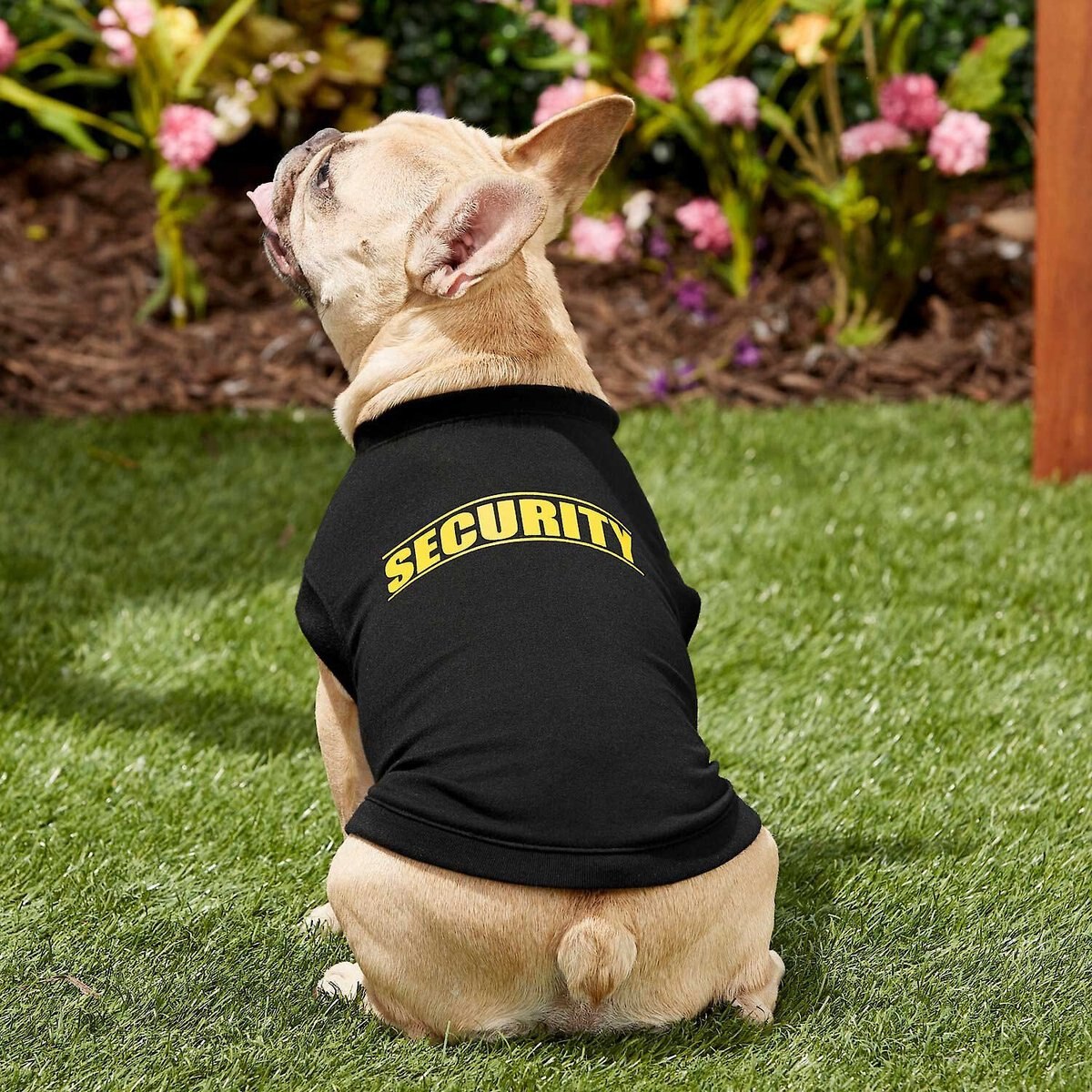 Frisco Security Dog and Cat T-Shirt