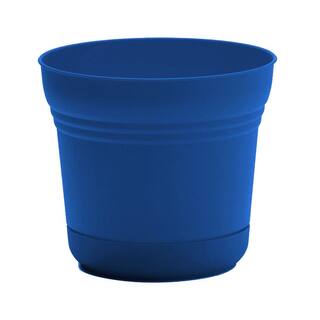 Bloem 14 in. Classic Blue Saturn Plastic Planter with Saucer SP1433