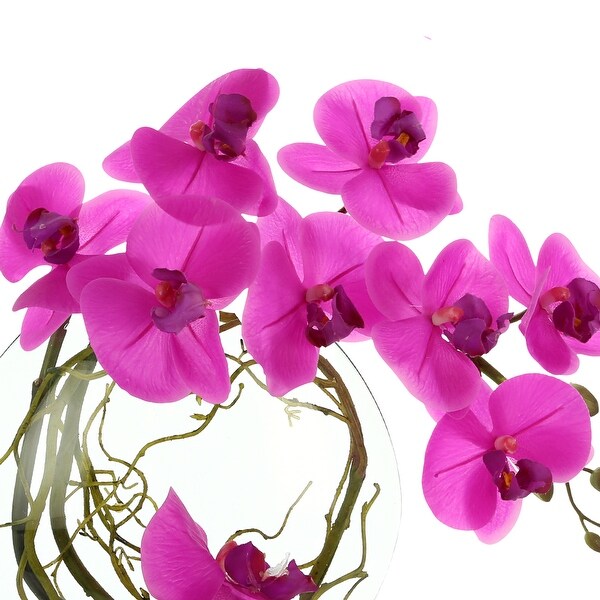 Orchid Floral in Glass Vase