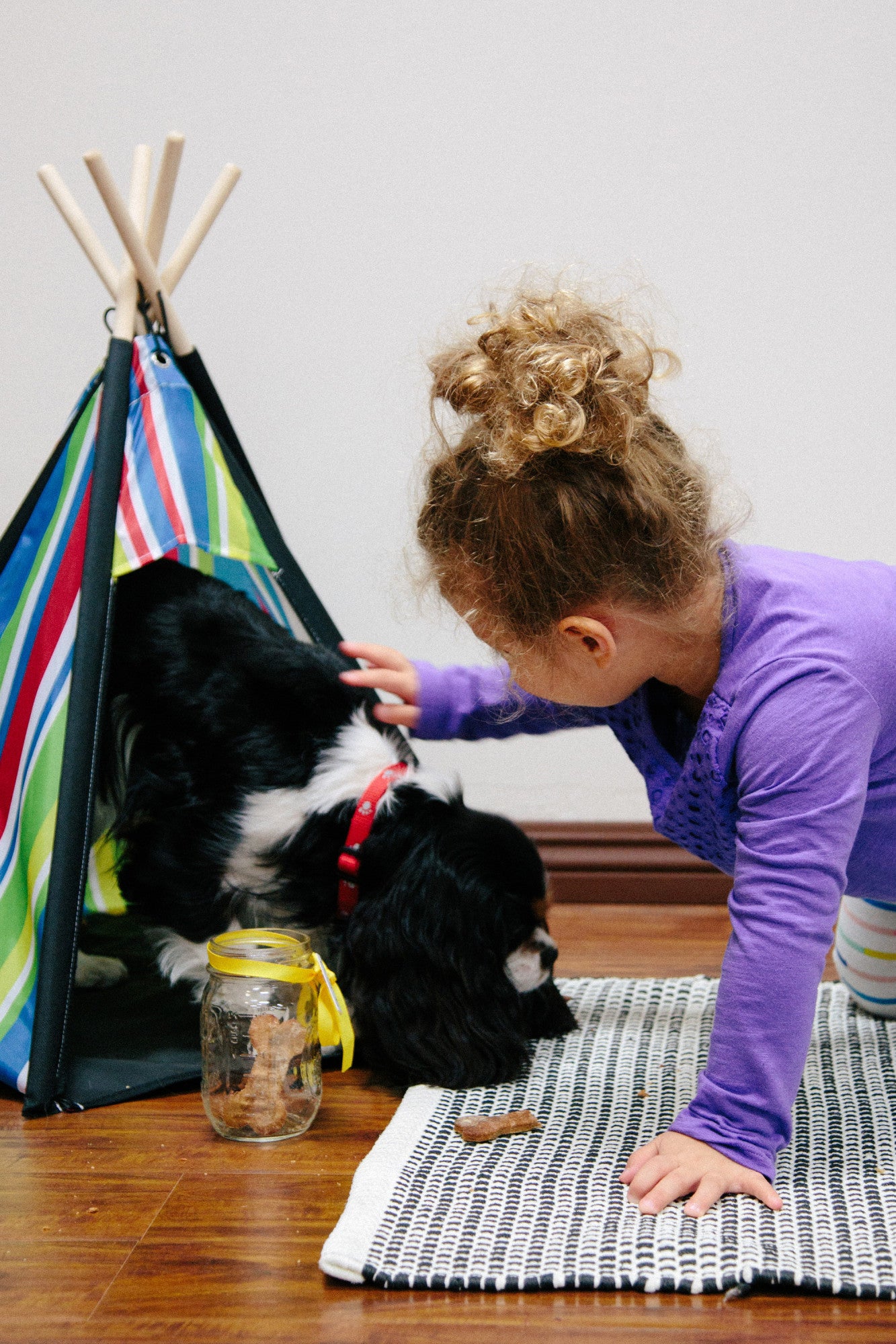 Pacific Play Tents Cozy Pet Teepee Dog House， Small， 26