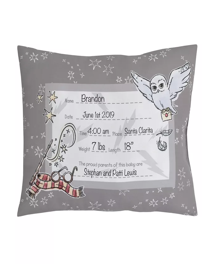 Warner Brothers Harry Potter Magical Moments Pillow  11 x 4