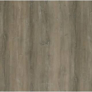 ALLURE Platinum Caramel Pine 6 MIL x 7 in. W x 48 in. L Click Lock Waterproof Luxury Vinyl Plank Flooring (23.3 sqftcase) S131300