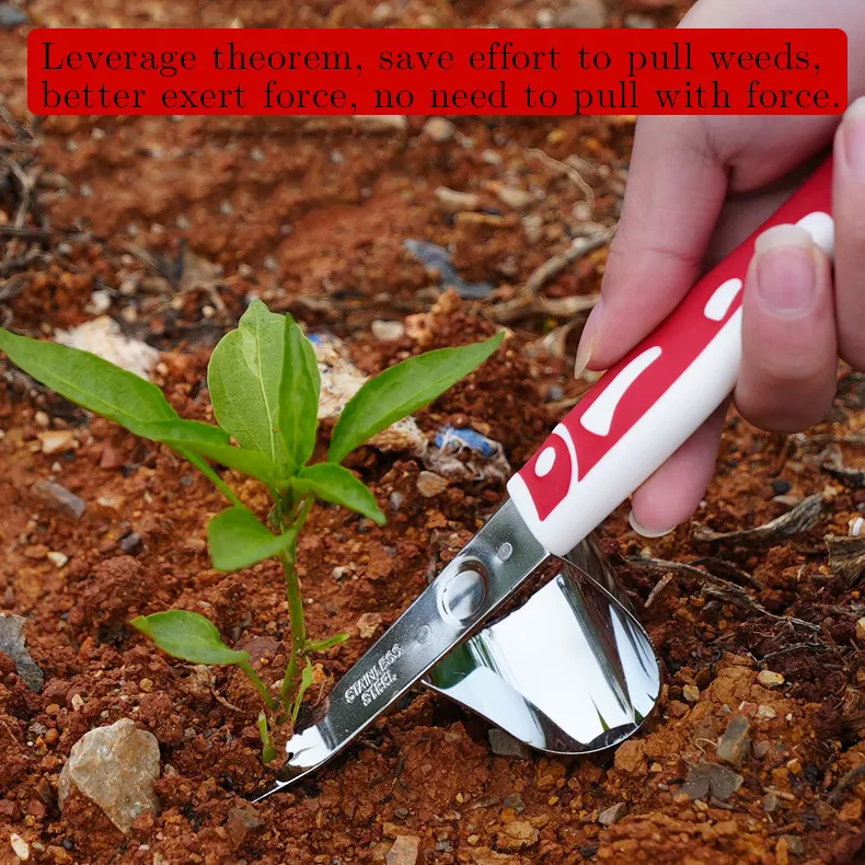 Wholesale Popular 5PCS Colorful Stainless Steel Garden Weeder Garden Weeding Tool Set