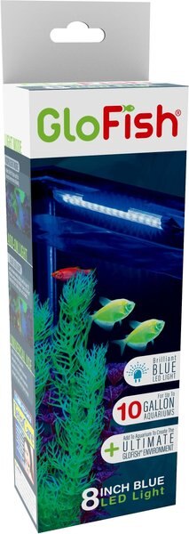 GloFish 8\