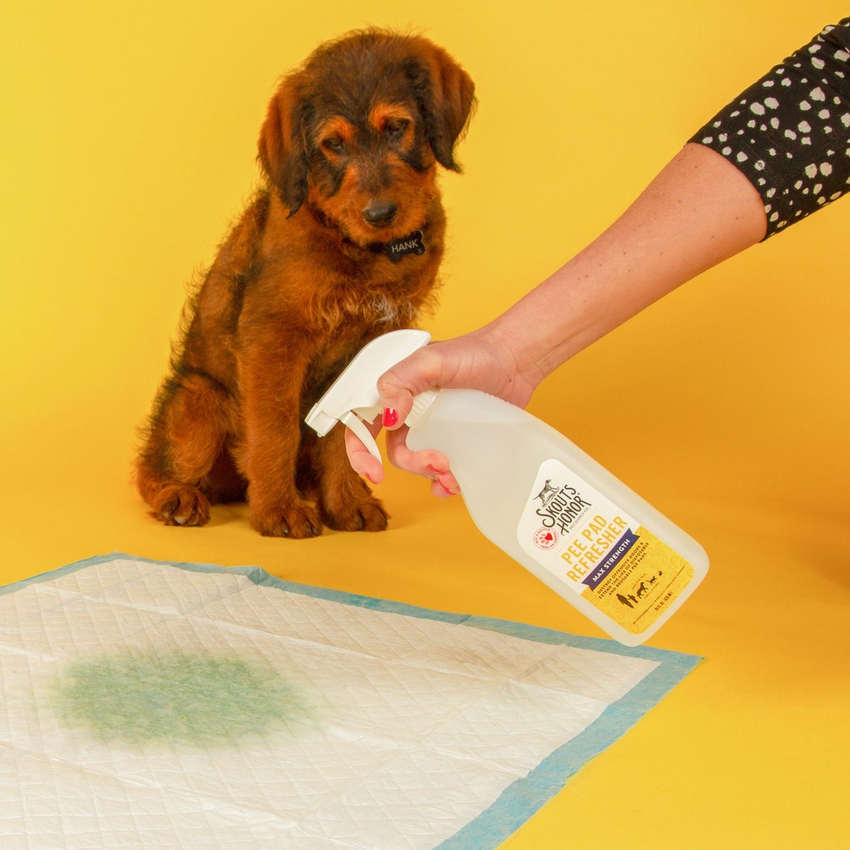 Skout's Honor Dog Pee Pad Refresher Spray， 28-oz bottle