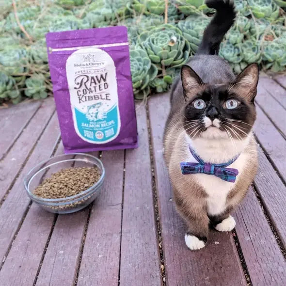 Stella and Chewy Raw Coated Kibble Wild Caught Salmon Recipe Dry Cat F;