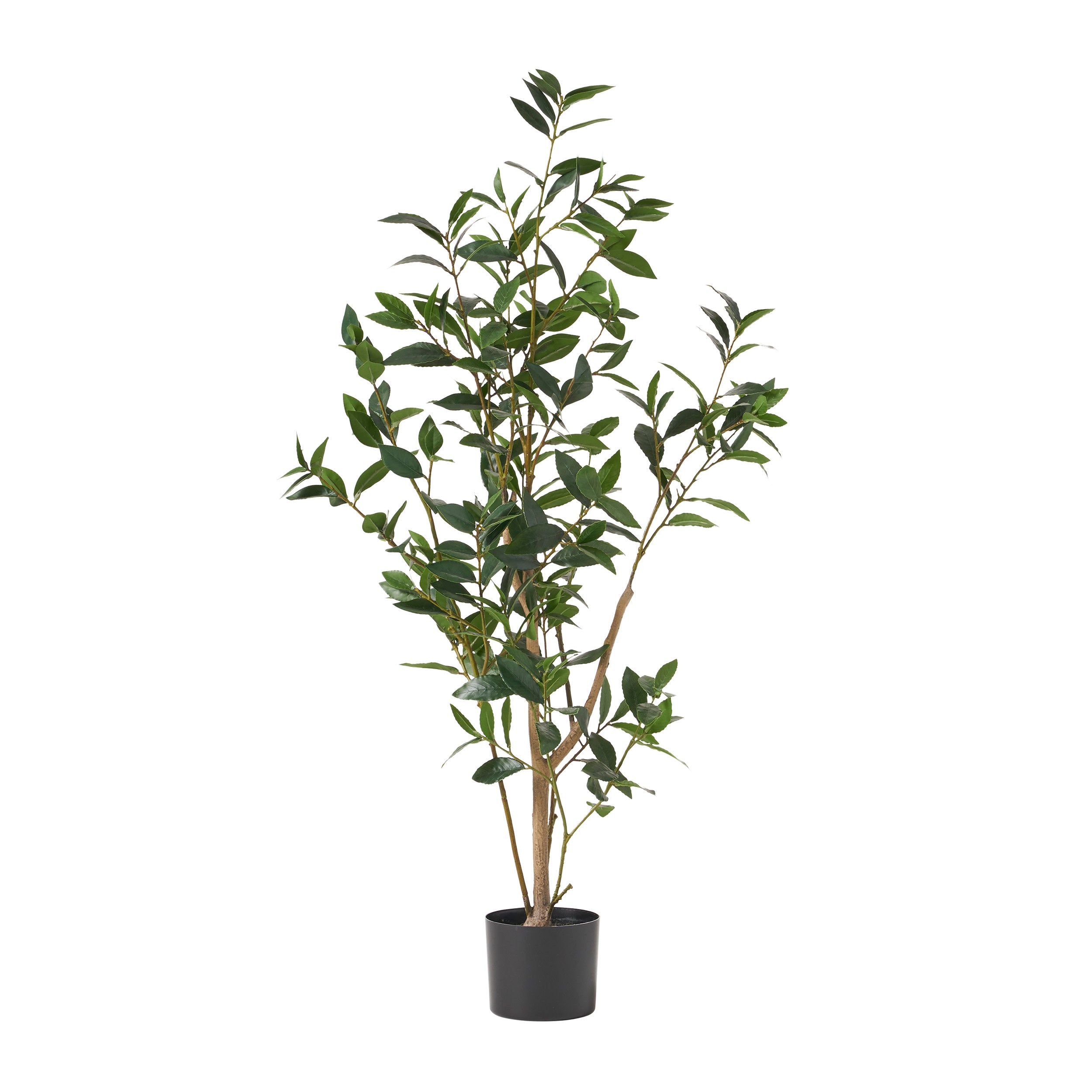 Forgan Artificial Laurel Tree